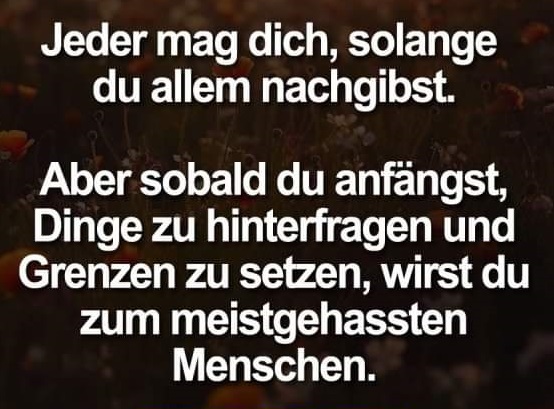 Jeder mag Dich, solange du allem nachgibst.