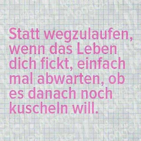 Statt weg zu laufen